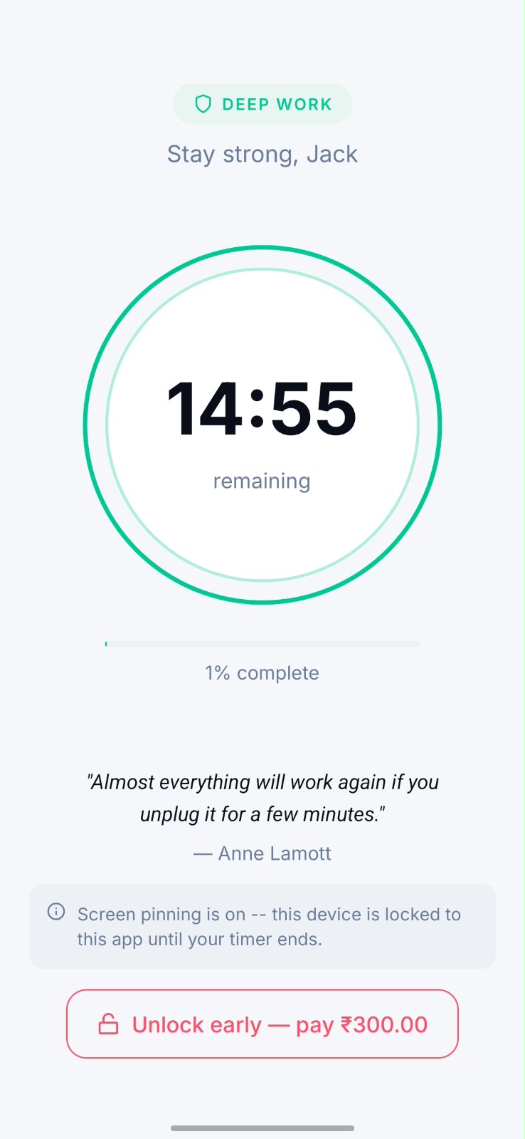 Digitox locked session screen with countdown timer